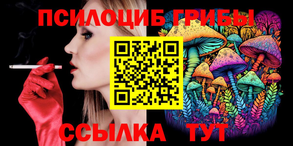 Псилоцибиновые грибы мицелий Королёв